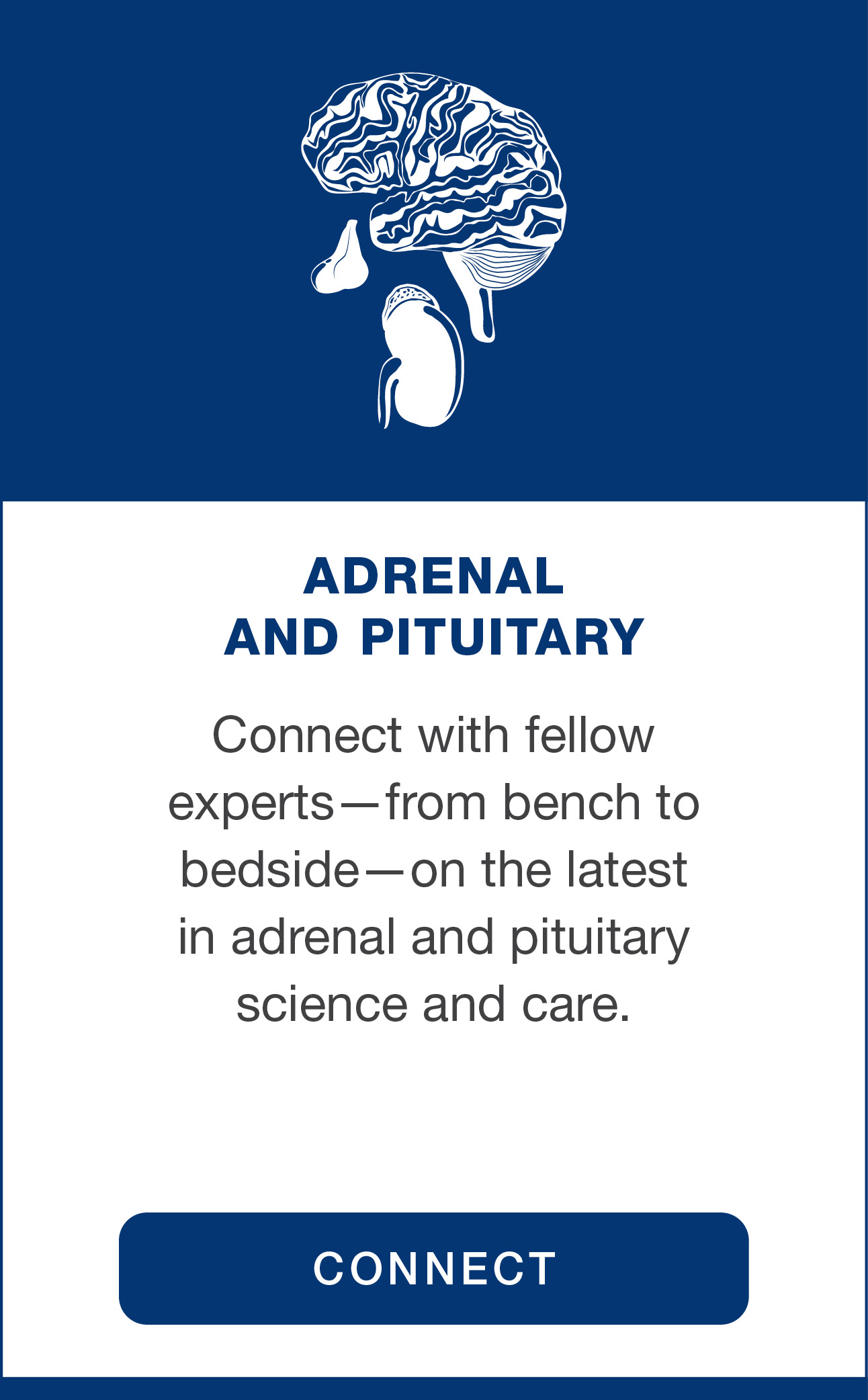 Special Interest Group: Adrenal & Pituitary