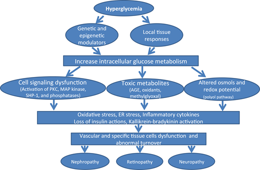 Figure1 - Diabetic Microvascular Disease: An Endocrine Society Scientific Statement
