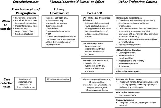 Figure1 - Screening for Endocrine Hypertension: An Endocrine Society Scientific Statement